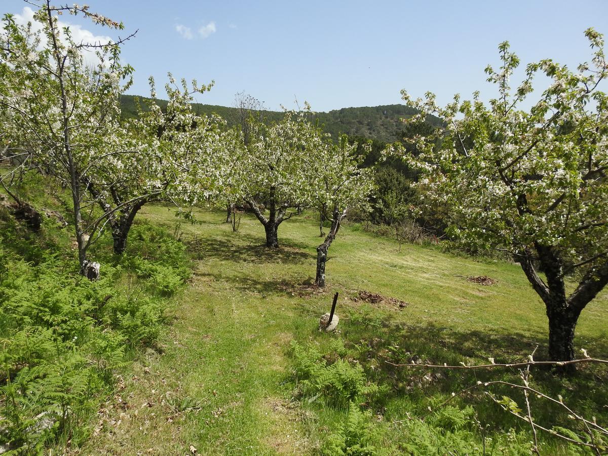 Casas Arbillas Arenas de San Pedro Εξωτερικό φωτογραφία