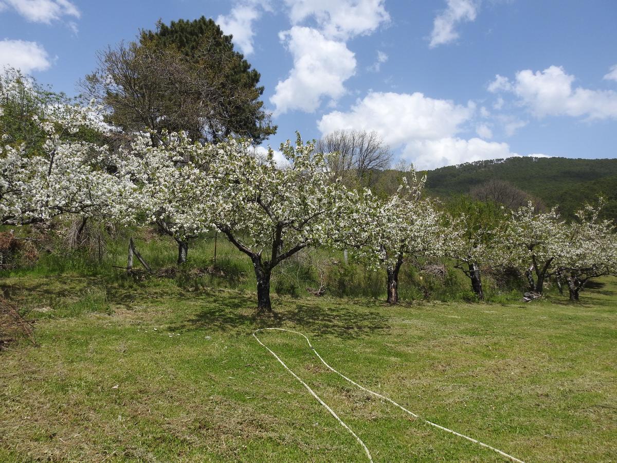 Casas Arbillas Arenas de San Pedro Εξωτερικό φωτογραφία