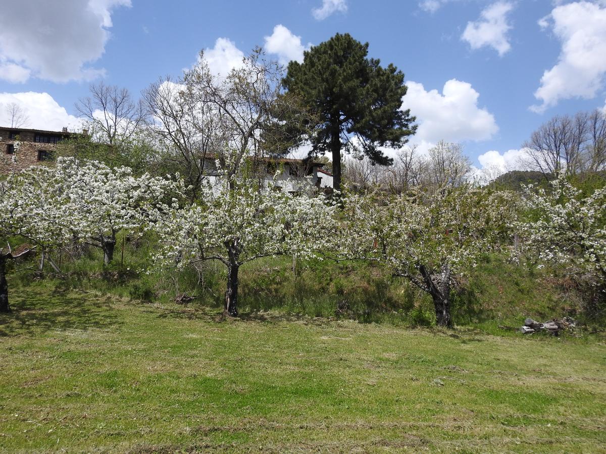 Casas Arbillas Arenas de San Pedro Εξωτερικό φωτογραφία