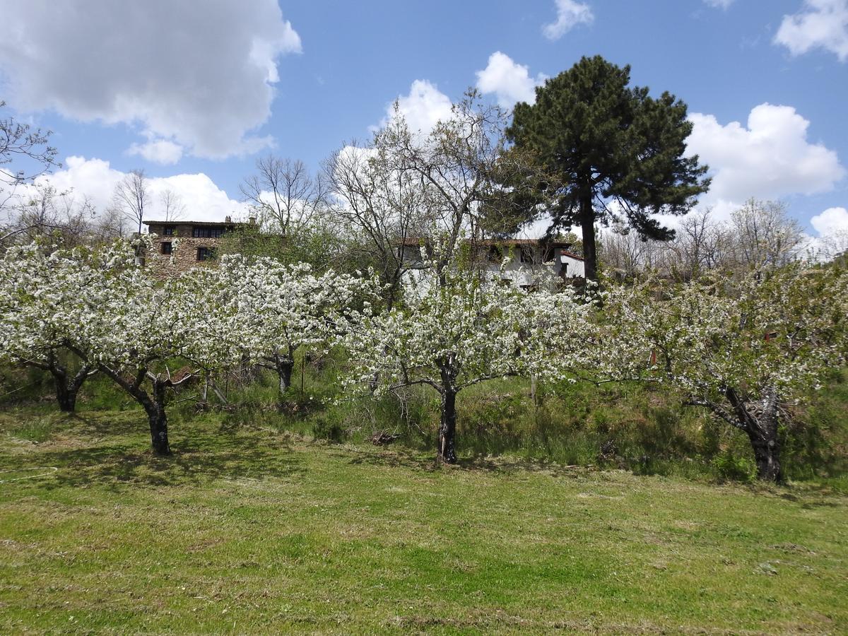 Casas Arbillas Arenas de San Pedro Εξωτερικό φωτογραφία